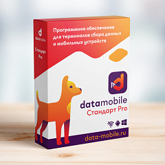 ПО DataMobile, версия Стандарт Pro в Красноярске